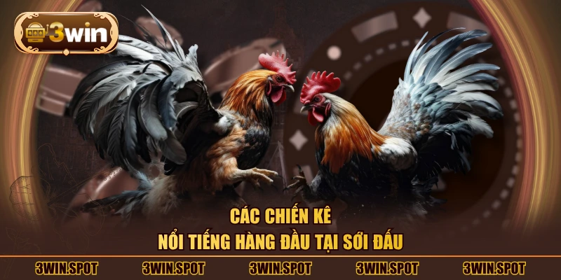 Các chiến kê nổi tiếng hàng đầu tại sới đấu